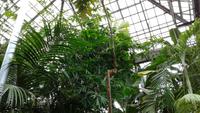 Botanischer Garten Glasgow 20180812 182601 &ndash; &copy; Marlies Thrum (Eberhardt TRAVEL)