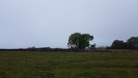 Hadrianswall 20180812 121441 &ndash; &copy; Marlies Thrum (Eberhardt TRAVEL)