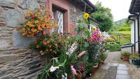 Luss 20180813 110838 &ndash; &copy; Marlies Thrum (Eberhardt TRAVEL)