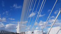 Queensferry Crossing 20180816 183922 &ndash; &copy; Marlies Thrum (Eberhardt TRAVEL)
