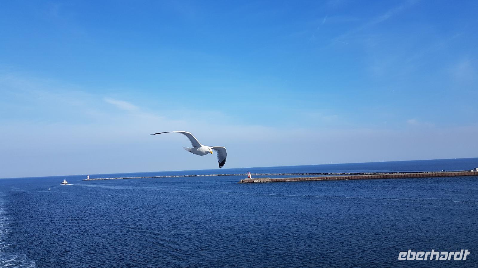 Hafen Amsterdam Ijmuiden &ndash; &copy; Marlies Thrum (Eberhardt TRAVEL)