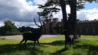 Scone Palace &ndash; &copy; Marlies Thrum (Eberhardt TRAVEL)