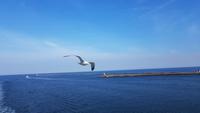 Hafen Amsterdam Ijmuiden &ndash; &copy; Marlies Thrum (Eberhardt TRAVEL)