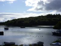Tag 3 - 2 - Loch Lomond (2) &ndash; &copy; Sabine Heitzer (Eberhardt TRAVEL)