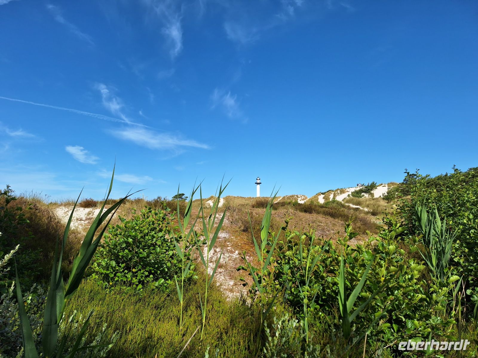 Dueodde auf Bornholm &ndash; &copy; Sinah Witzig (Eberhardt TRAVEL)