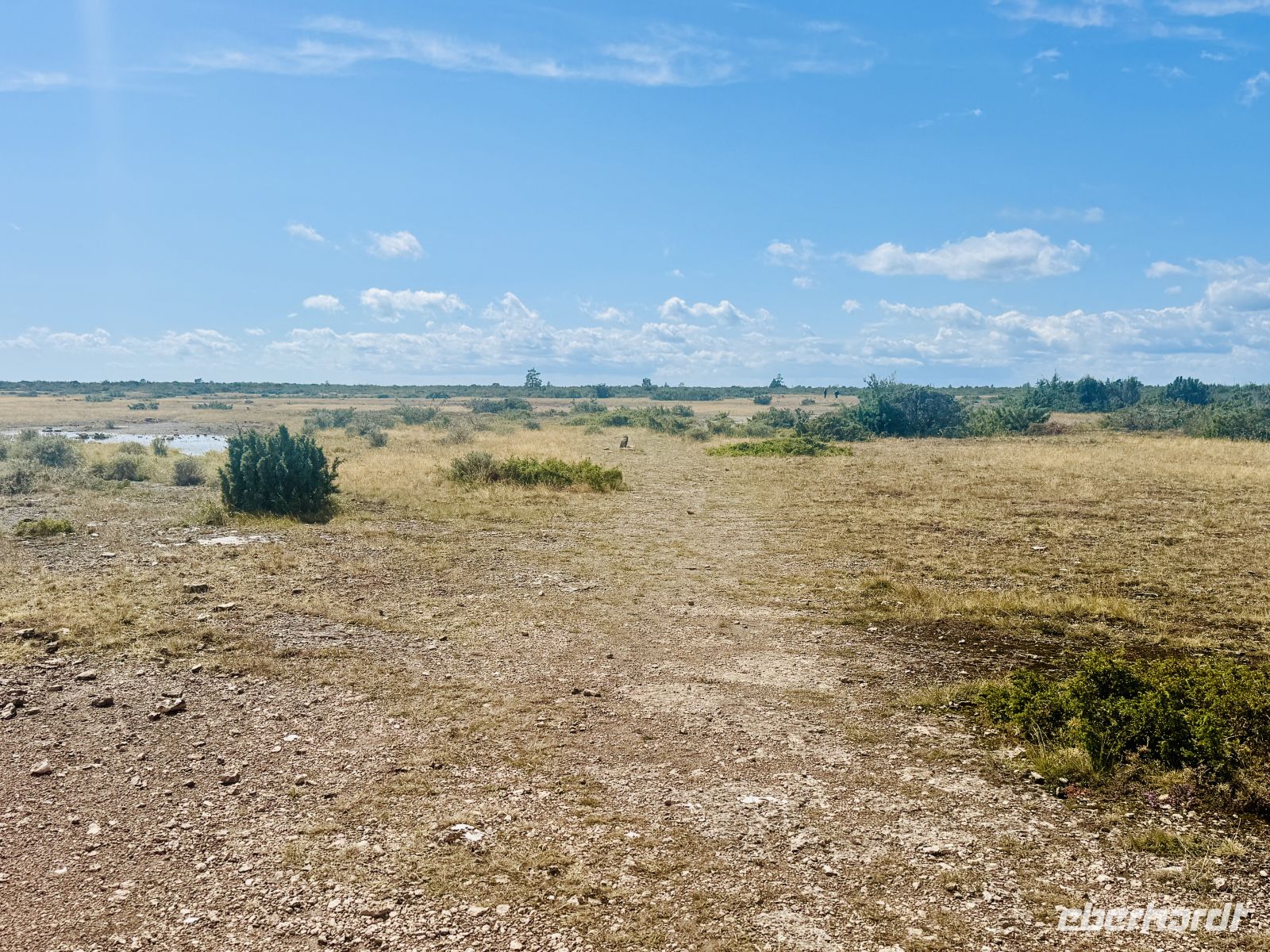 4. Tag -  Stora Alvaret, Insel Öland  &ndash; &copy; Christin Kuschka (Eberhardt TRAVEL)