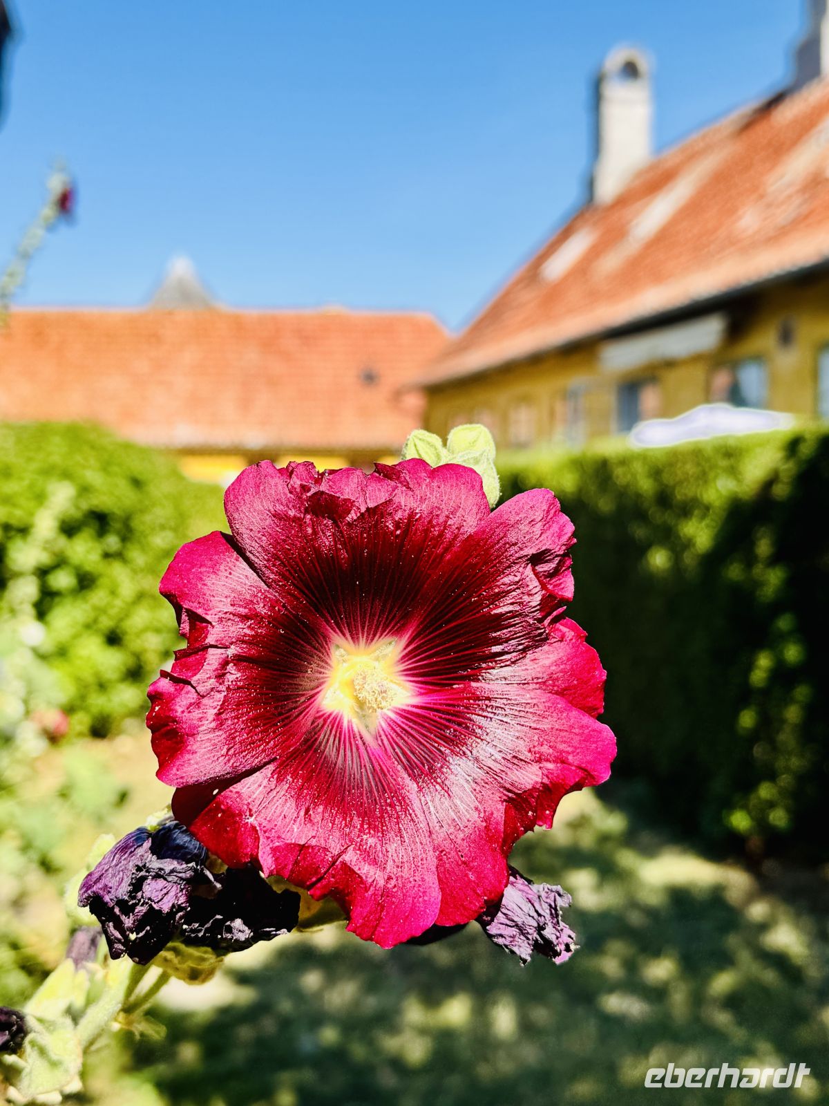 7. Tag - Erbseninseln  &ndash; &copy; Christin Kuschka (Eberhardt TRAVEL)