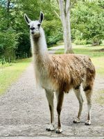 3. Tag - Tierpark beim Bosjökloster  &ndash; &copy; Christin Kuschka (Eberhardt TRAVEL)