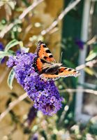 7. Tag - Erbseninseln  &ndash; &copy; Christin Kuschka (Eberhardt TRAVEL)