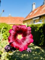 7. Tag - Erbseninseln  &ndash; &copy; Christin Kuschka (Eberhardt TRAVEL)