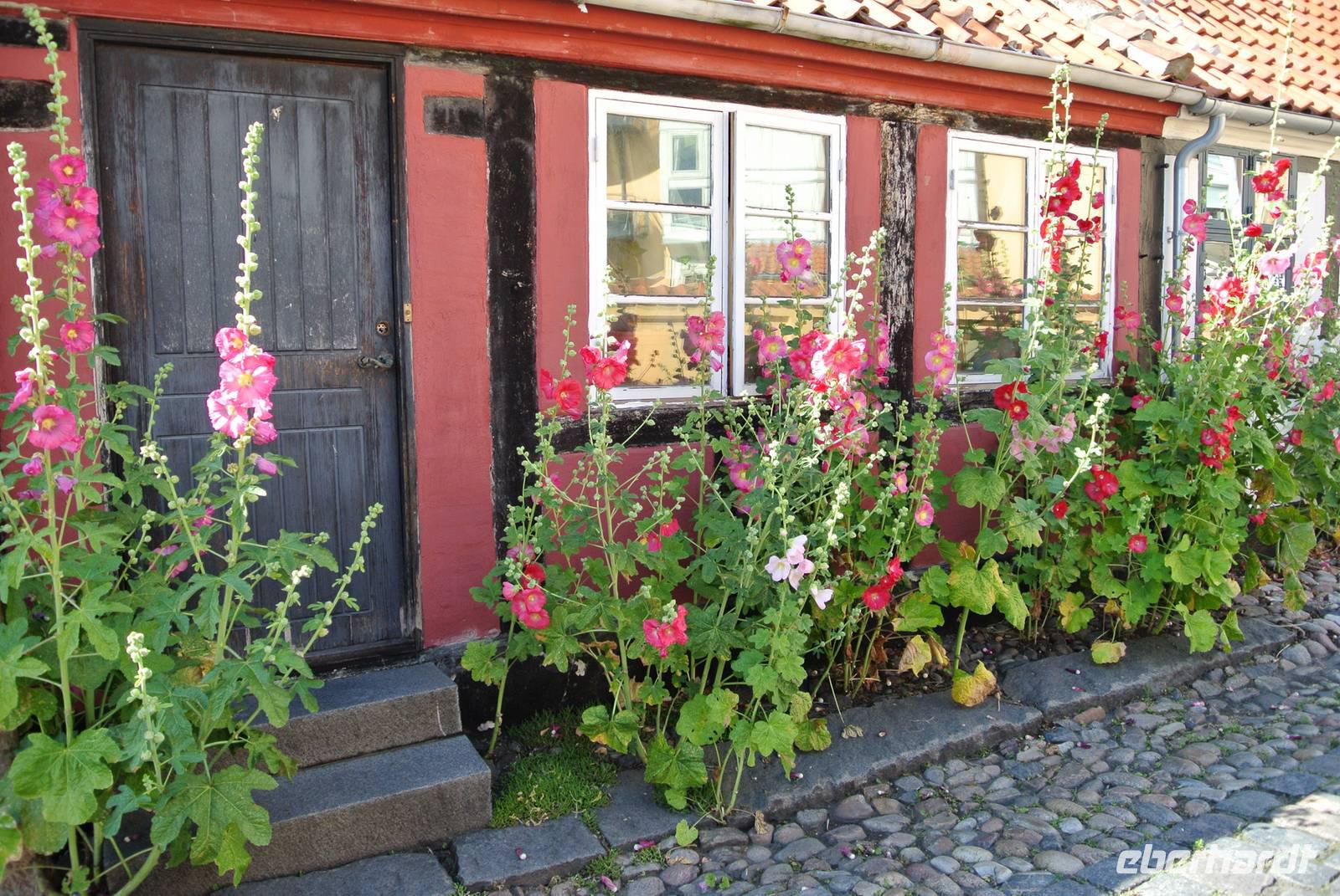 Haus in Gudhjem  &ndash; &copy; Gerd Przybyla (Eberhardt TRAVEL)