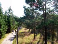 Im Elchpark &ndash; &copy; Steffen Mucke (Eberhardt TRAVEL)