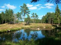 Im Elchpark &ndash; &copy; Steffen Mucke (Eberhardt TRAVEL)