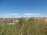 Öland Möckelmossen Stora Alvaret Steppe &ndash; &copy; Ingrid Langer (Eberhardt TRAVEL)