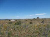 Öland Möckelmossen Stora Alvaret Steppe &ndash; &copy; Ingrid Langer (Eberhardt TRAVEL)