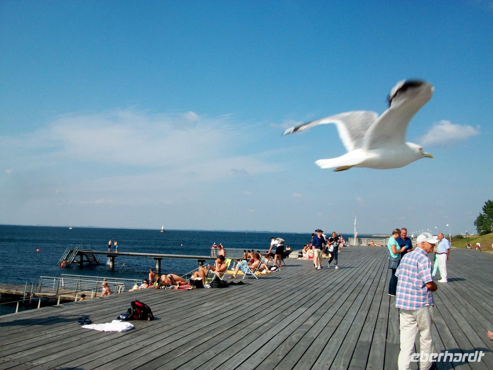Malmö &ndash; &copy; Steffen Mucke (Eberhardt TRAVEL)