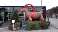 Silvesterreise Stockholm - Julbock am Styrmansgatan &ndash; &copy; Franziska Bergmann (Eberhardt TRAVEL)