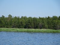 Im Naturreservat &ndash; &copy; Inge Bily (Eberhardt TRAVEL)