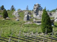 Im Naturreservat &ndash; &copy; Inge Bily (Eberhardt TRAVEL)