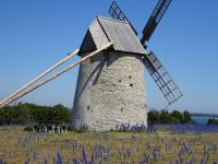 Im Naturreservat &ndash; &copy; Inge Bily (Eberhardt TRAVEL)