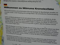 Mörrum: Lachstreppe &ndash; &copy; Inge Bily (Eberhardt TRAVEL)