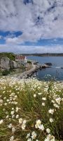 Insel Marstrand &ndash; &copy; Ingrid Langer (Eberhardt TRAVEL)