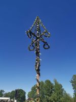 Midsommar Baum im Skansen &ndash; &copy; Ingrid Langer (Eberhardt TRAVEL)