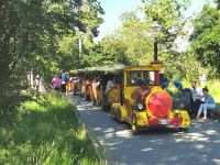 Im Skansen Park