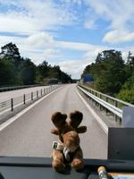 Elch an Bord &ndash; &copy; Ingrid Langer (Eberhardt TRAVEL)