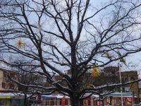 Rundgang in Vaxholm &ndash; &copy; Inge Bily (Eberhardt TRAVEL)