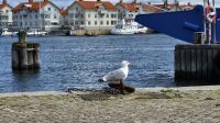 &copy; Franziska Bergmann (Eberhardt TRAVEL)