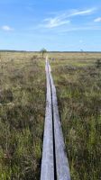 Schweden. Store Mosse Nationalpark &ndash; &copy; Heike Jack (Eberhardt TRAVEL)