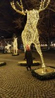 Silvesterreise Stockholm - Reiseleiterin Franzi & Elche am Nybroplan &ndash; &copy; Franziska Bergmann (Eberhardt TRAVEL)