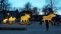 Silvesterreise Stockholm - Elchfamilie am Nybroplan &ndash; &copy; Franziska Bergmann (Eberhardt TRAVEL)