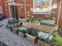 In Gamla Linköping &ndash; &copy; Jürgen Müller (Eberhardt TRAVEL)