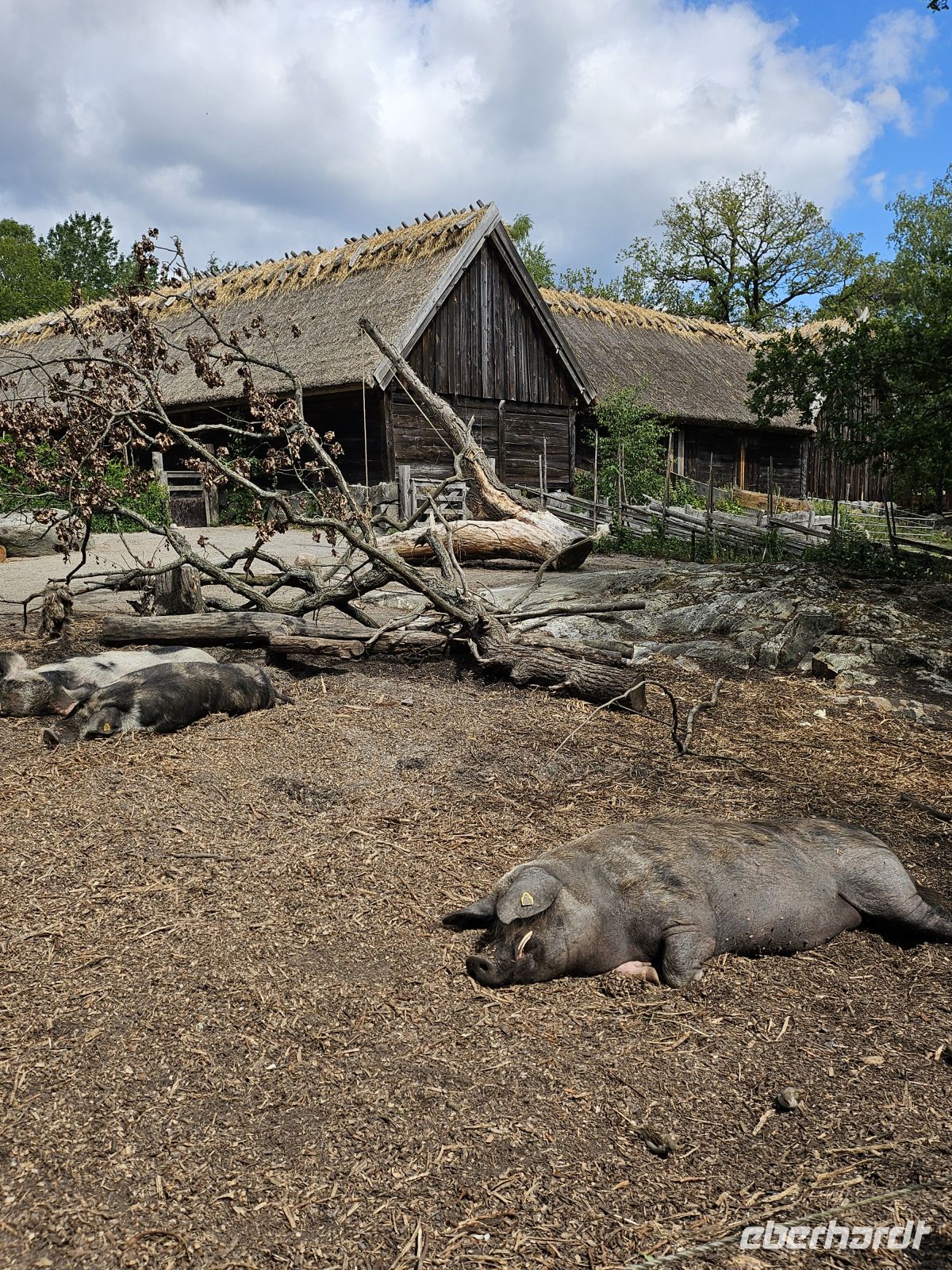Skansen Tierpark &ndash; &copy; Mariele Legler (Eberhardt TRAVEL)
