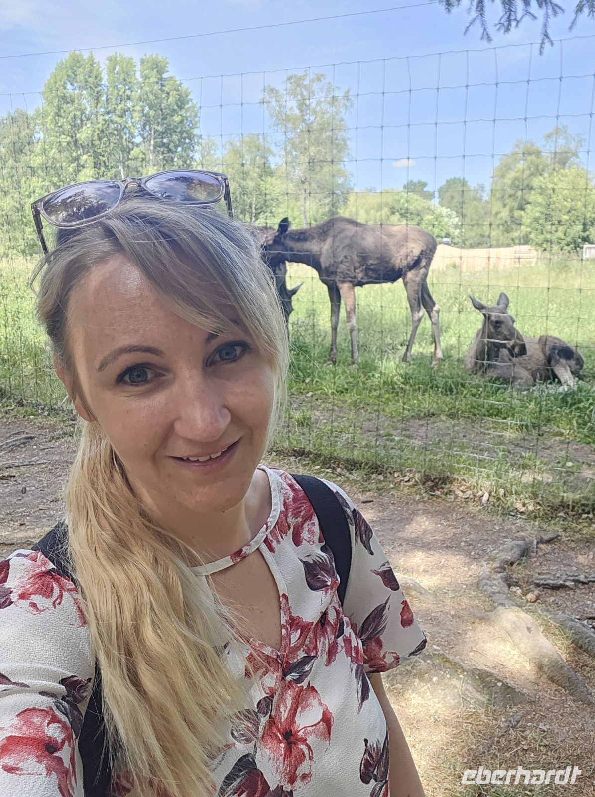 den Wächtern des Nordens ganz nah &ndash; &copy; Mariele Legler (Eberhardt TRAVEL)
