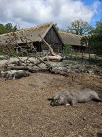 Skansen Tierpark &ndash; &copy; Mariele Legler (Eberhardt TRAVEL)