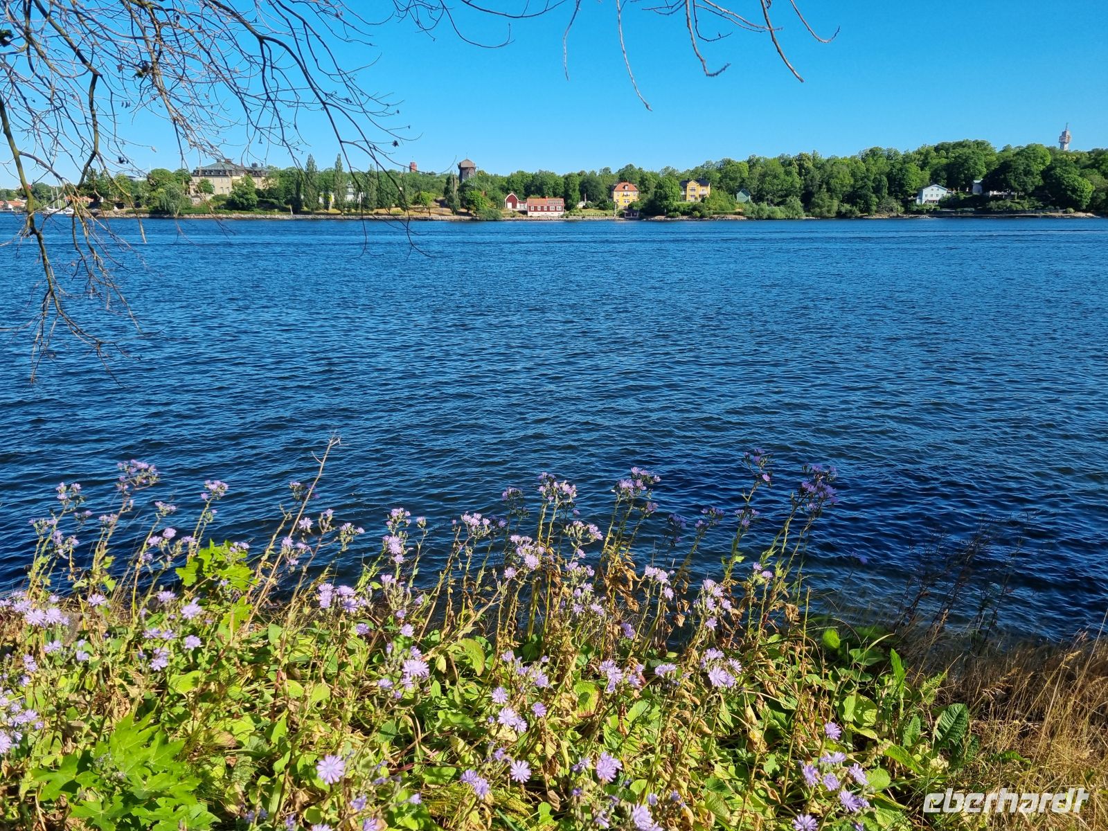 Blick vom 