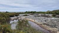Rundwanderung auf Marstrand &ndash; &copy; Sinah Witzig (Eberhardt TRAVEL)
