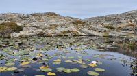 Rundwanderung auf Marstrand &ndash; &copy; Sinah Witzig (Eberhardt TRAVEL)