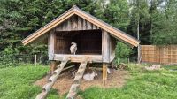 Grönåsens Elchpark &ndash; &copy; Sinah Witzig (Eberhardt TRAVEL)