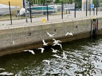 Hammarby Schleuse &ndash; &copy; Mareike Schmidt (Eberhardt TRAVEL)