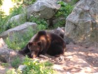 Skansen  &ndash; &copy; Olga Romano (Eberhardt TRAVEL)