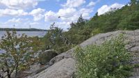 wilde Schönheit Fjäderholmen.jpg &ndash; &copy; Katja Haubold (Eberhardt TRAVEL)