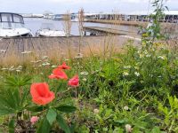 Jönköping  &ndash; &copy; Heike Jack (Eberhardt TRAVEL)