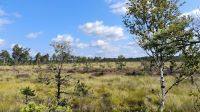 Store Mosse Nationalpark 