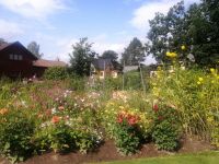 Im Garten von Anders Zorn &ndash; &copy; Alicia Eckert (Eberhardt TRAVEL)