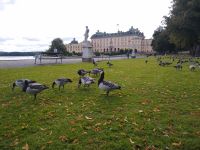 Drottningholm  &ndash; &copy; Olga Romano (Eberhardt TRAVEL)