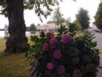 Drottningholm  &ndash; &copy; Olga Romano (Eberhardt TRAVEL)